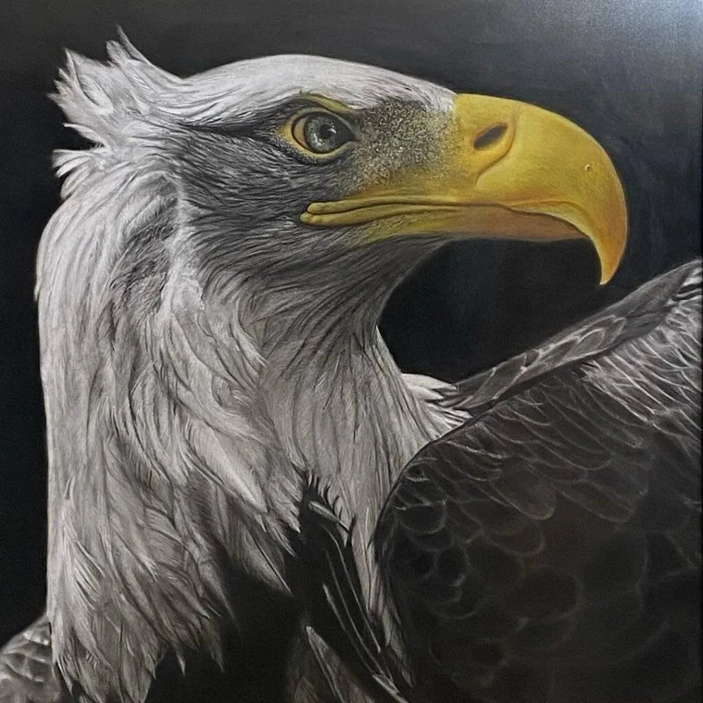 mini_magick20241115-40283-23uggt